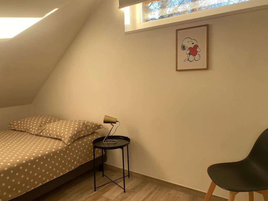 שטרסבורג Appartement Dans Une Grange Renovee מראה חיצוני תמונה