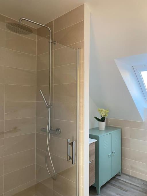 שטרסבורג Appartement Dans Une Grange Renovee מראה חיצוני תמונה